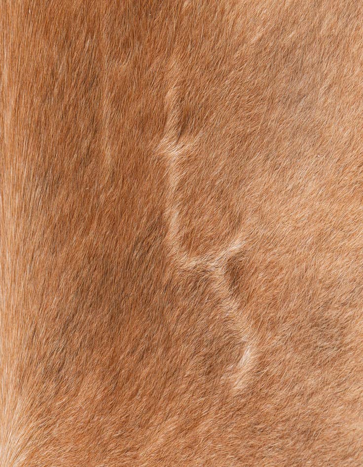 Detail image of  6' 3 x 6' 8 Cowhide Leather Freeform Rug