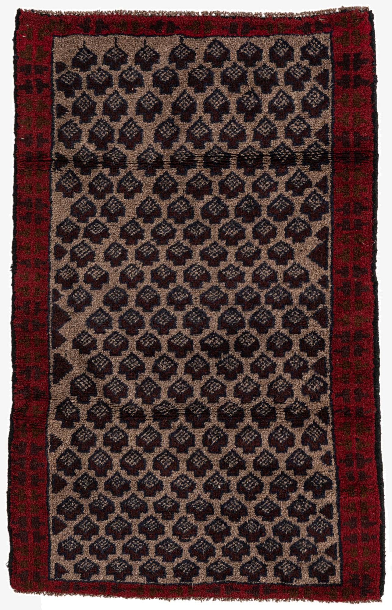  2' 9 x 4' 7  Hand Knotted Balouch Persian Wool Rug