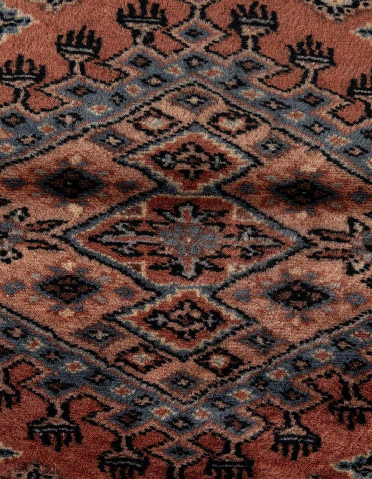 Detail image of  3' 2 x 5' 4  Hand Knotted Bokhara Oriental Wool Rug
