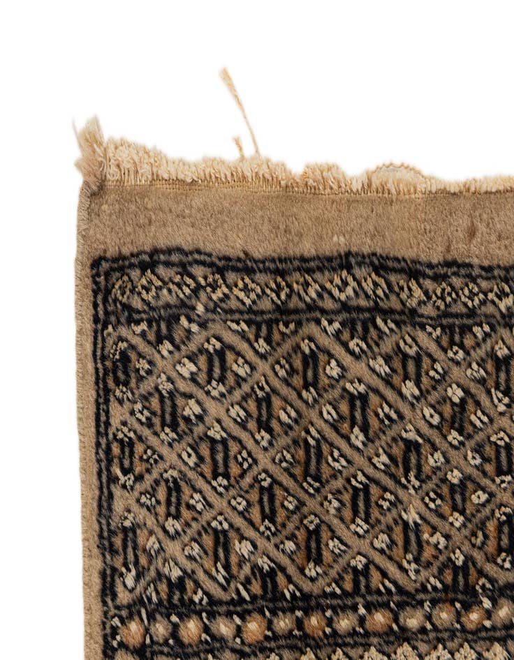 Detail image of  8' 3 x 11' 1  Hand Knotted Bokhara Oriental Rug