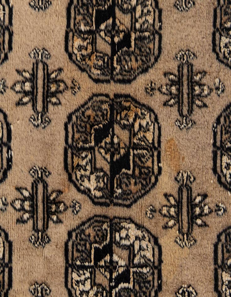 Detail image of  8' 3 x 11' 1  Hand Knotted Bokhara Oriental Rug