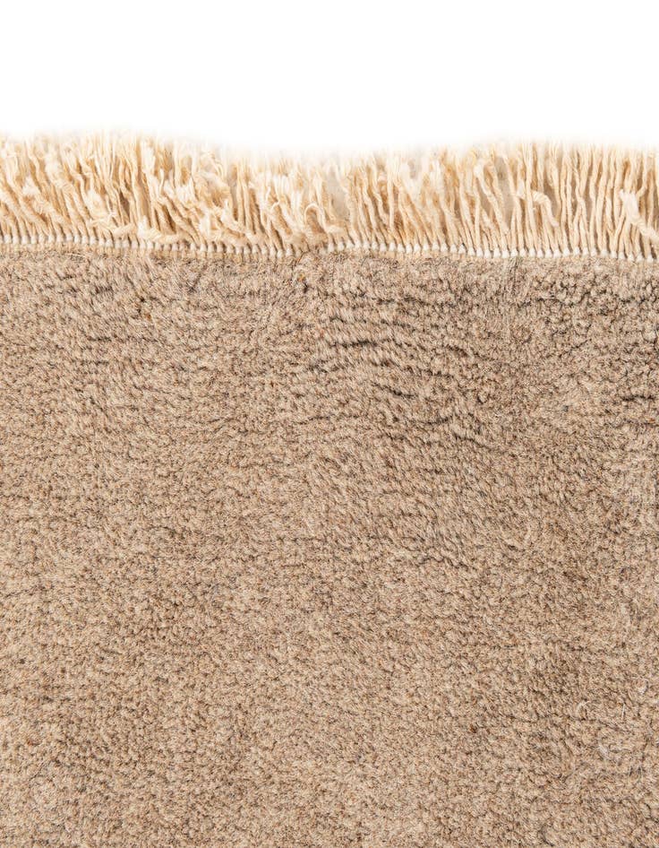 Detail image of  3' 1 x 5' 7  Hand Knotted Carved Pekin Oriental Wool Rug