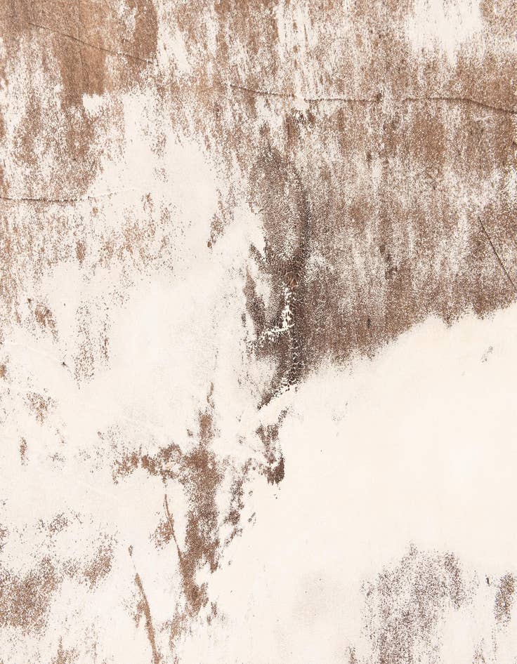 Detail image of  5' 11 x 6' 10 Cowhide Leather Rug