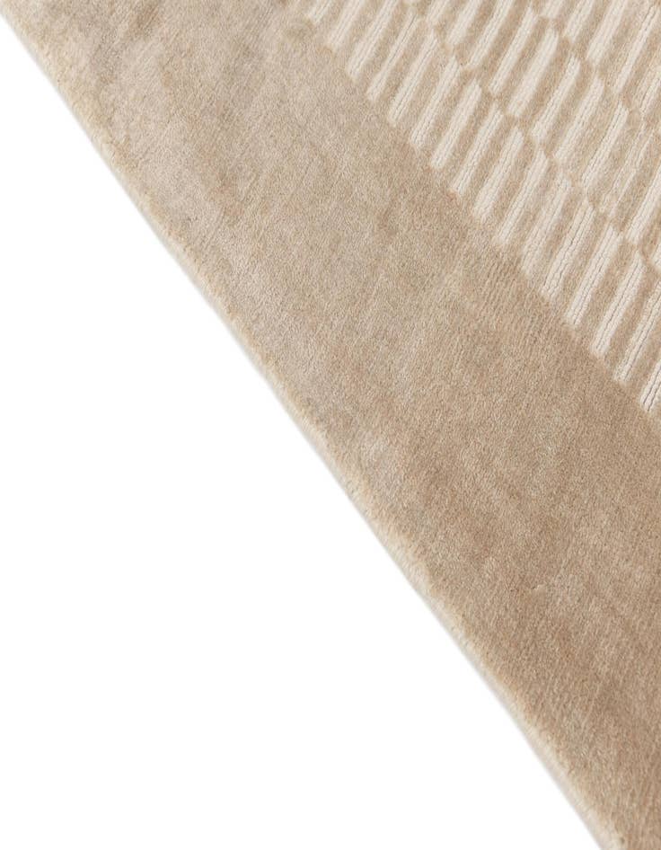 Detail image of  2' 8 x 4' 7  Hand Knotted Darya Wool Rug