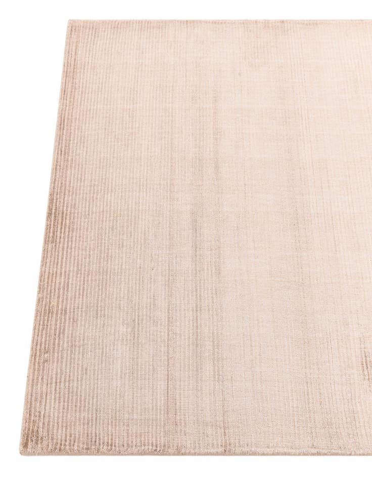 Detail image of  2' 7 x 5'  Hand Knotted Darya Wool Rug