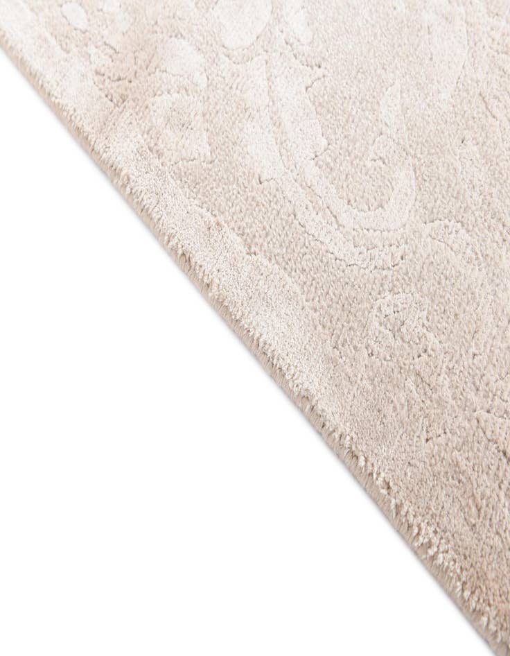 Detail image of  2' 9 x 5' 1  Hand Knotted Darya Wool Rug