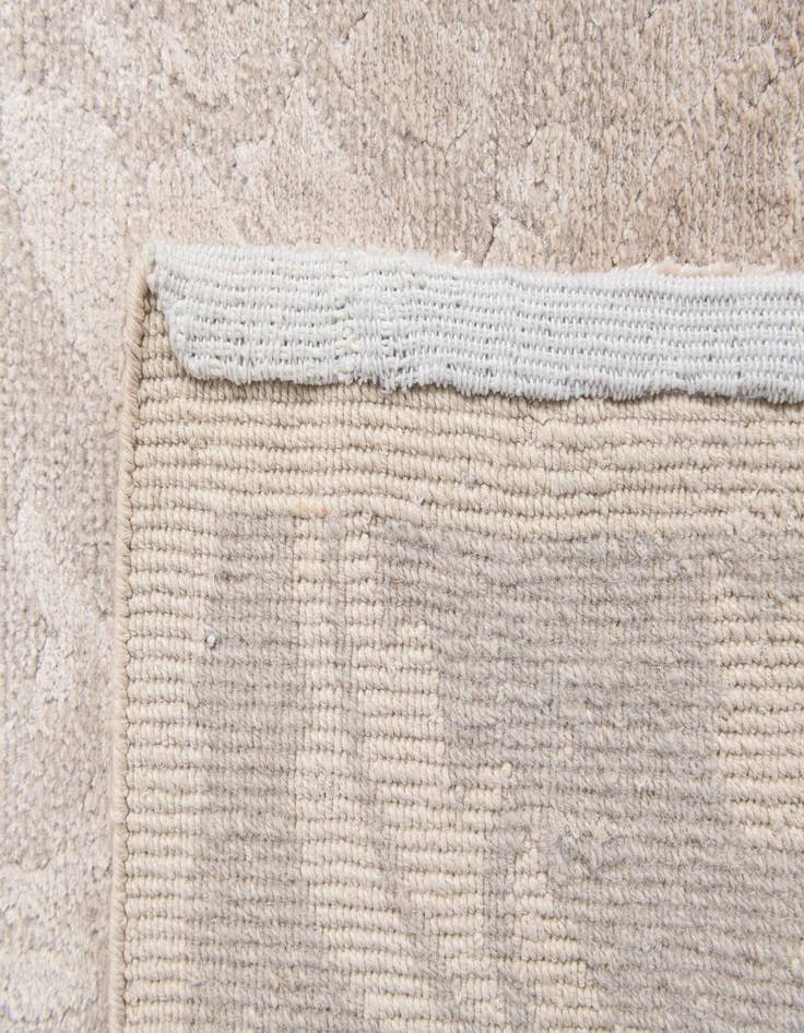 Detail image of  2' 9 x 5' 1  Hand Knotted Darya Wool Rug