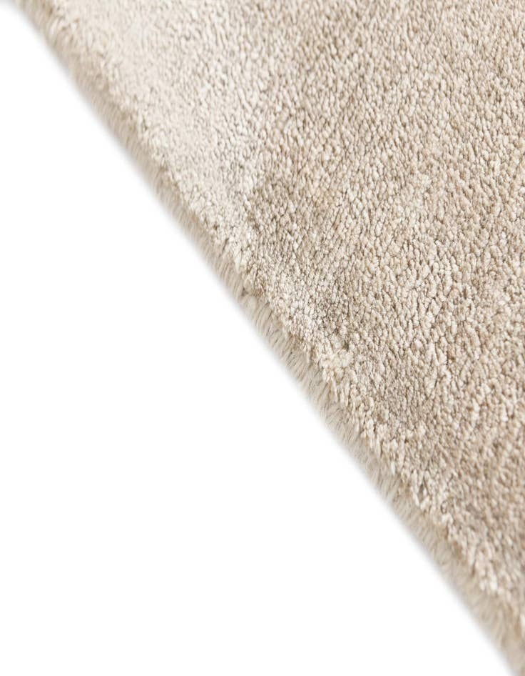 Detail image of  3' 11 x 5' 9 Darya Rug