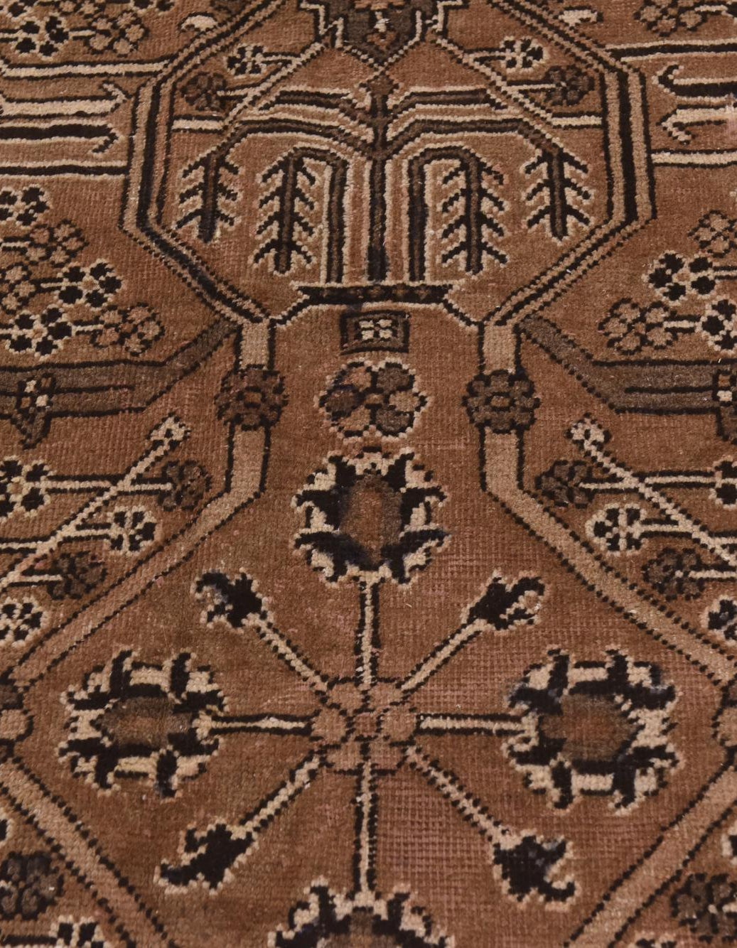 Light Brown 7' 9 x 10' 5 Hand Knotted Ferdos Persian Wool Rug | Rugs.com