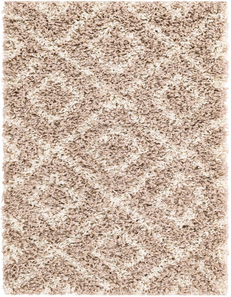 Detail image of  2' x 3' Lattice Shag Rug