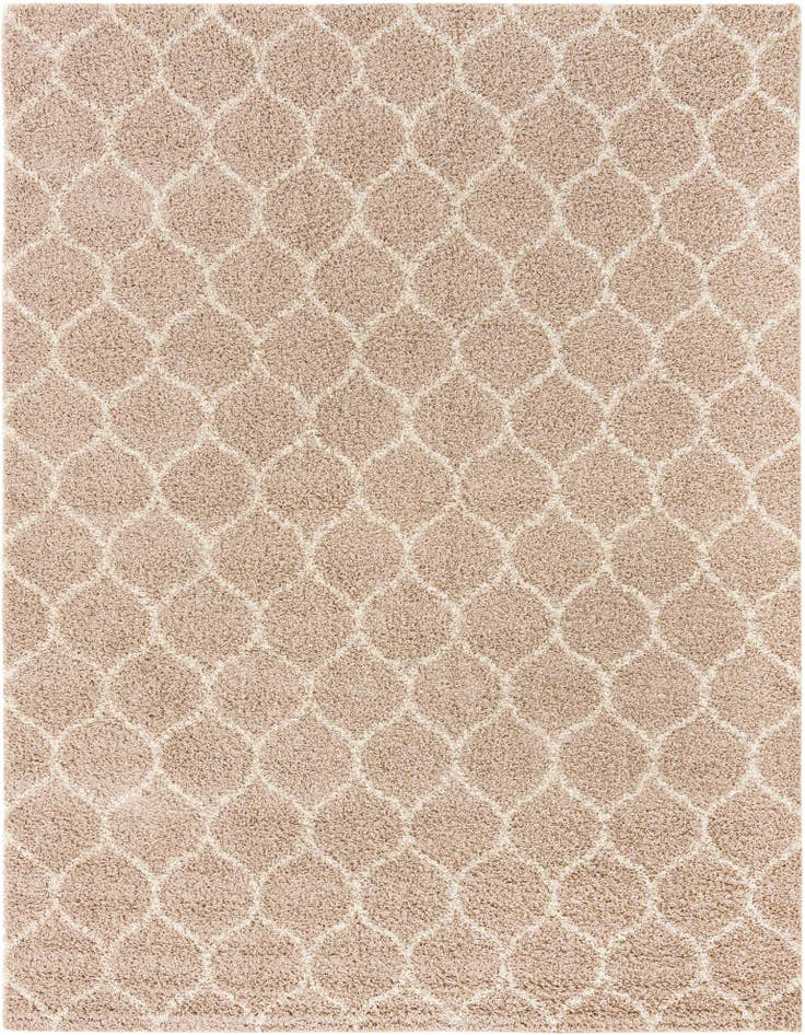 Detail image of  10' x 13' Lattice Shag Rug