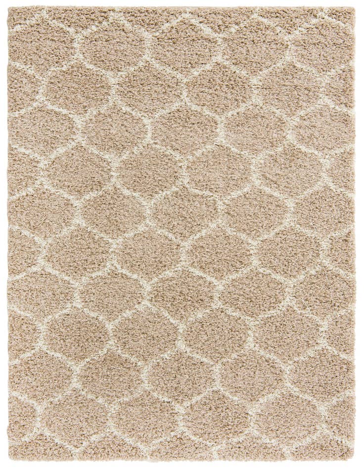 Detail image of  5' 3 x 8' Lattice Shag Rug