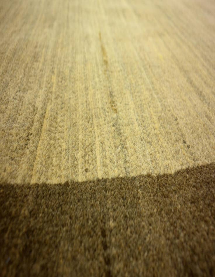 Detail image of  3' 11 x 6'  Hand Knotted Modern Ziegler Oriental Rug