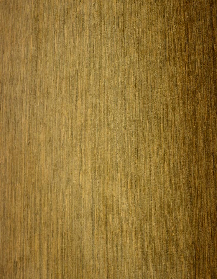 Detail image of  3' 10 x 5' 11  Hand Knotted Modern Ziegler Oriental Rug