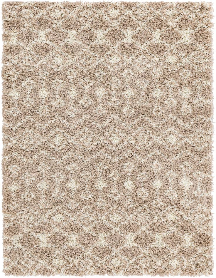 Detail image of  4' x 6' Moroccan Trellis Shag Rug