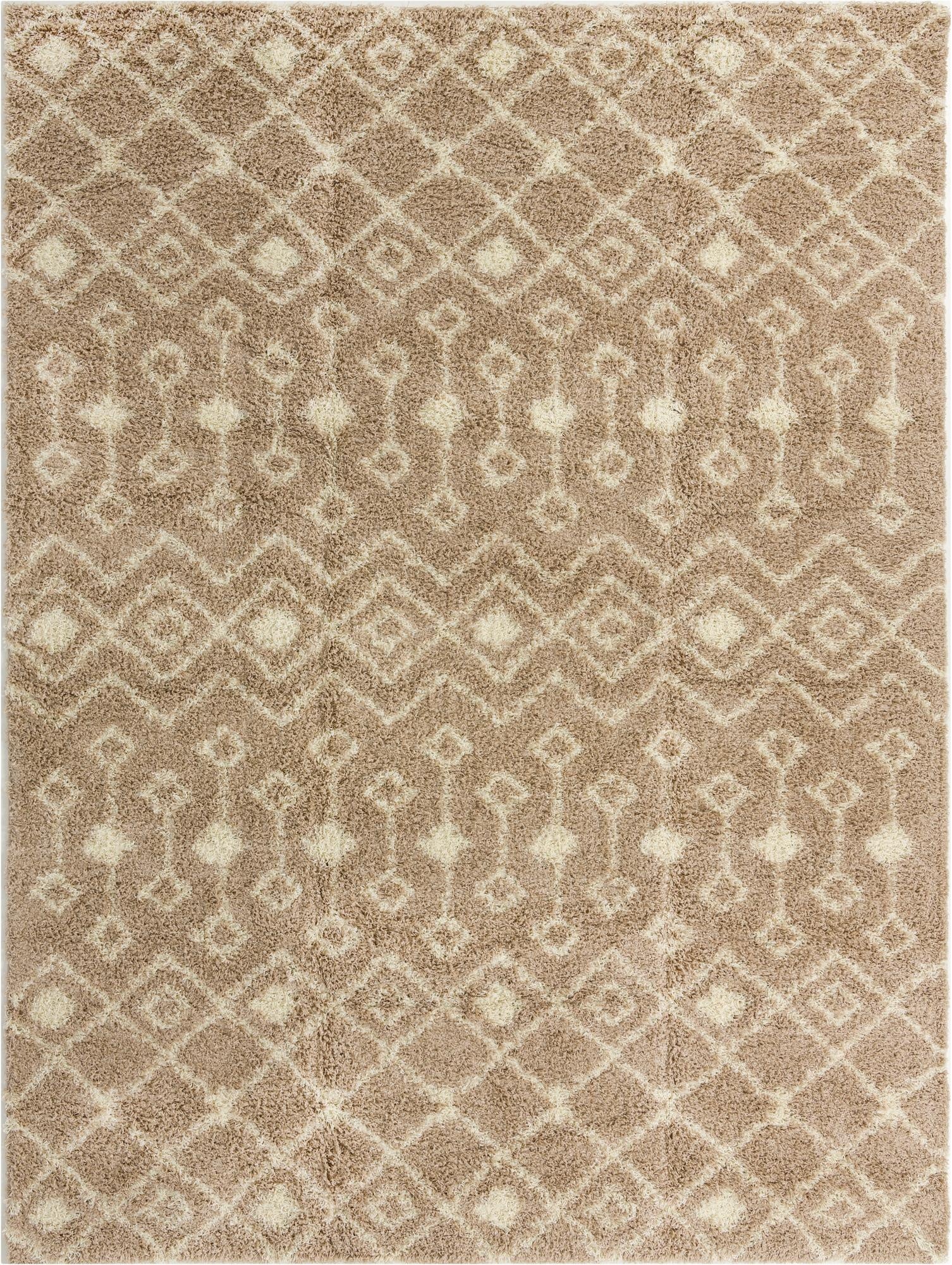 Primary image  10' x 13' Moroccan Trellis Shag Rug