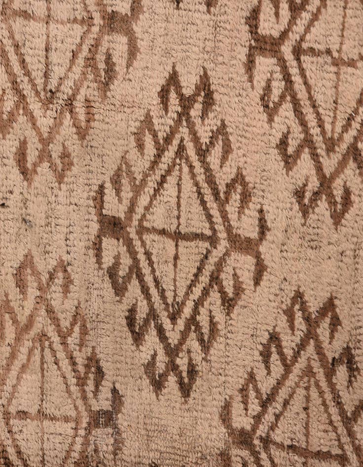 Detail image of  4' 9 x 8' 4  Hand Knotted Torkaman Persian Wool Rug