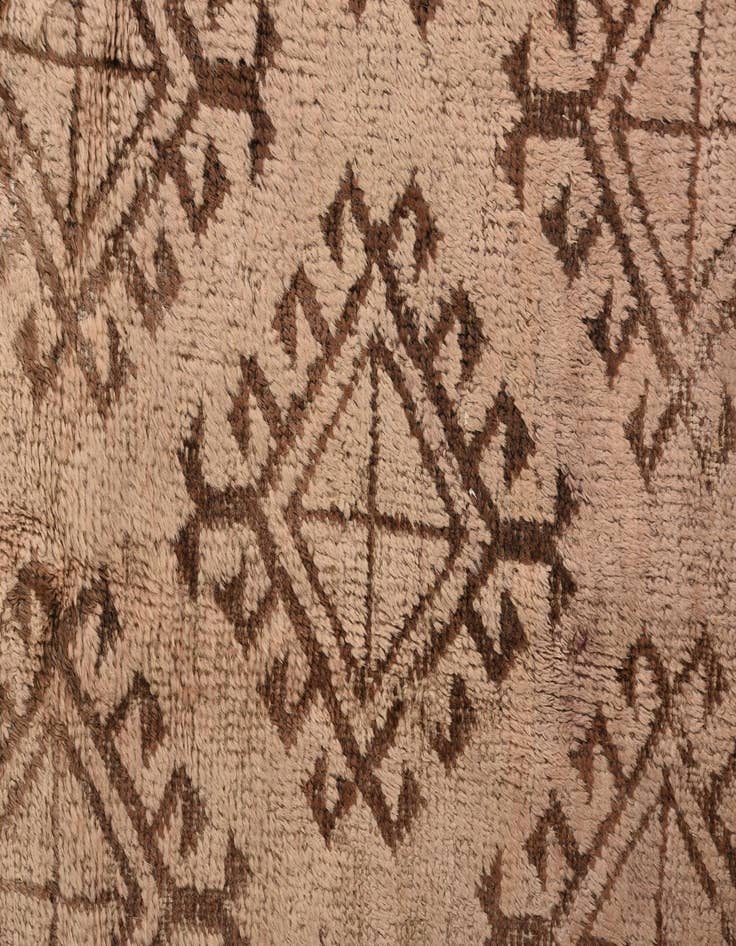 Detail image of  4' 9 x 8' 4  Hand Knotted Torkaman Persian Wool Rug