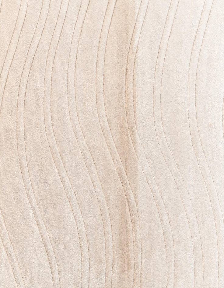 Detail image of  2' 7 x 9' 10 Darya Runner Rug