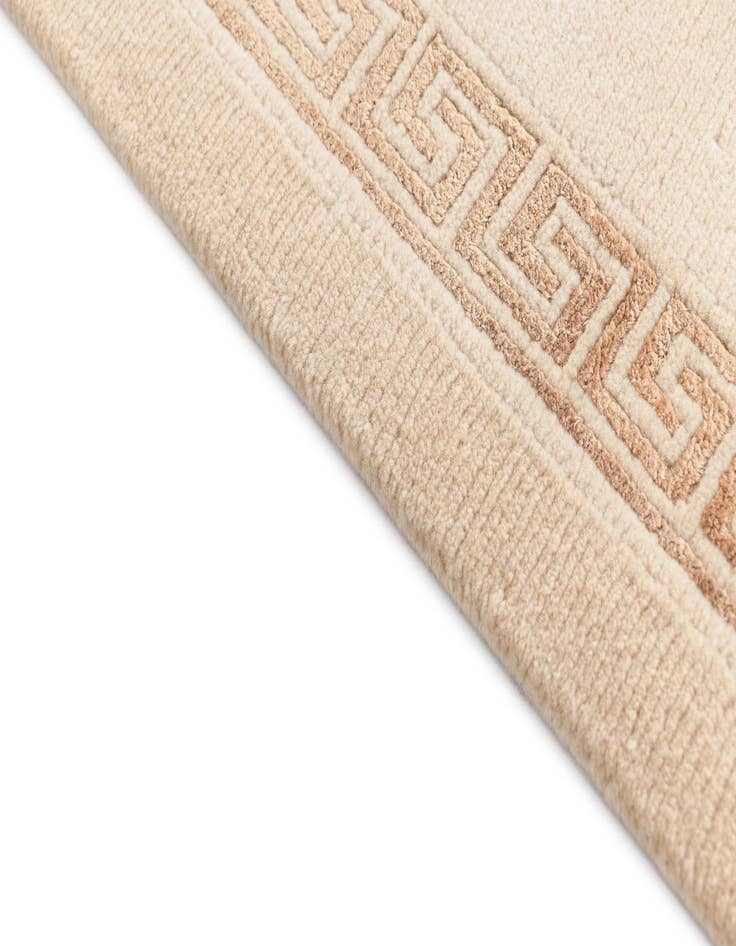 Detail image of  2' 9 x 9' 10 Darya Runner Rug