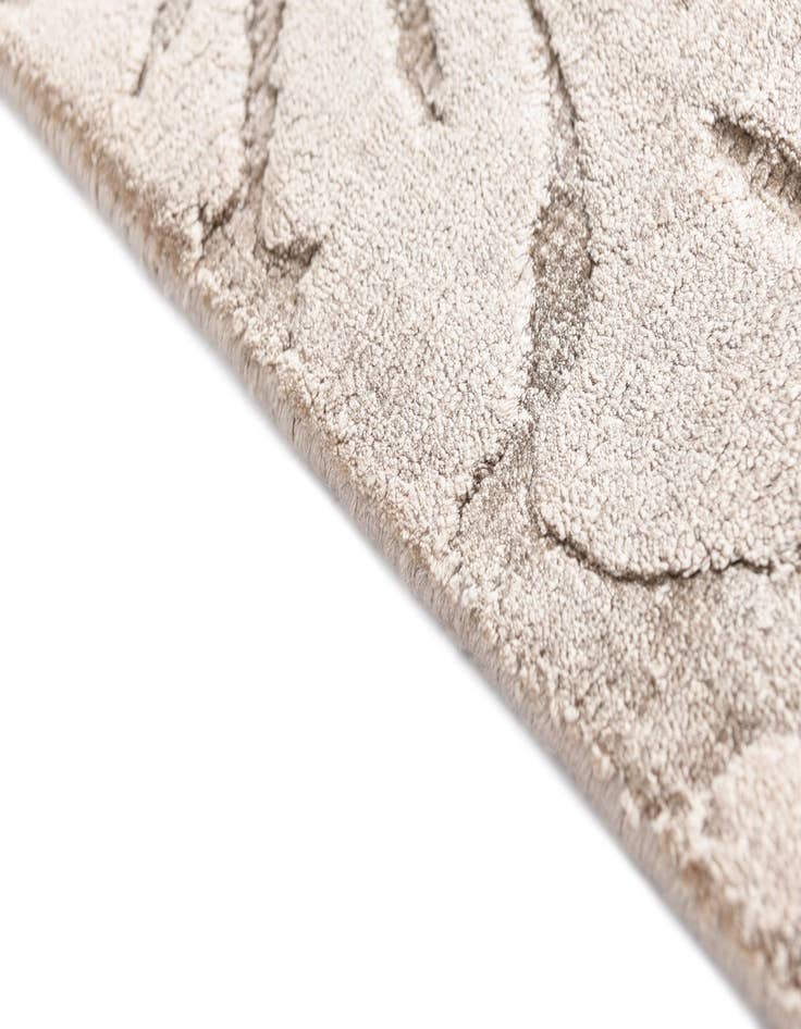 Detail image of  2' 7 x 9' 11 Darya Runner Rug