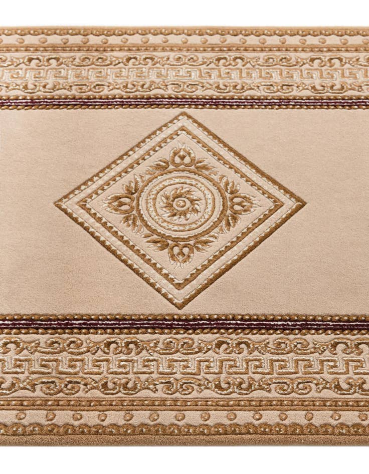 Detail image of  2' 7 x 9' 9 Darya Runner Rug