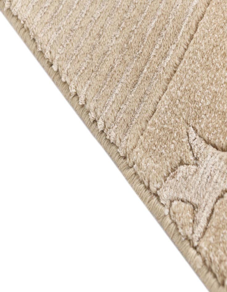 Detail image of  2' 7 x 13' Darya Runner Rug