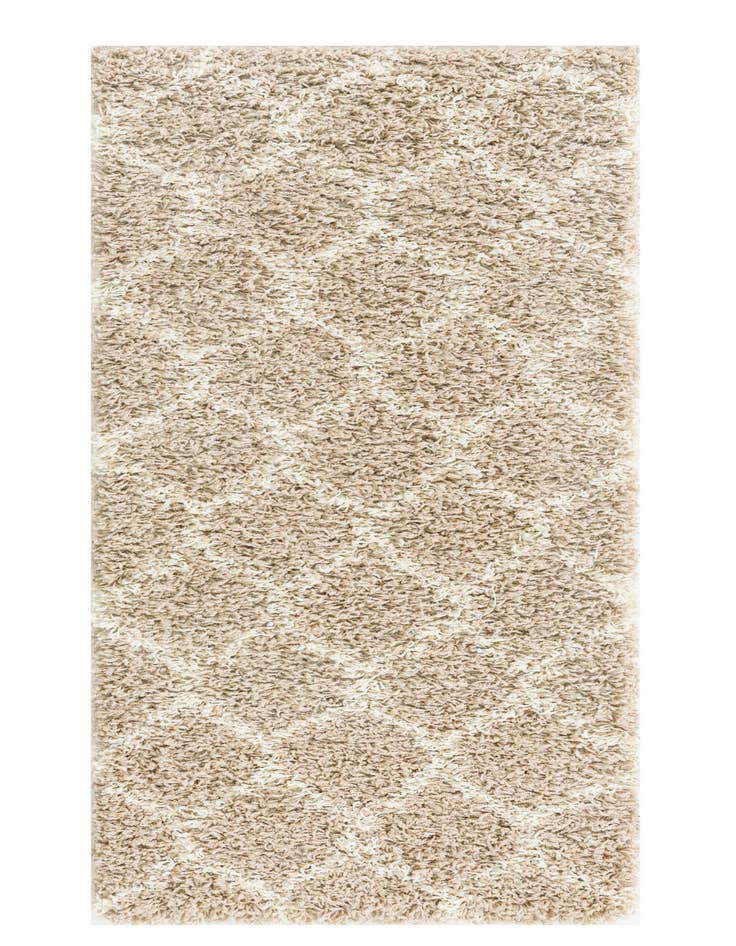 Detail image of  2' x 5' Lattice Shag Runner Rug