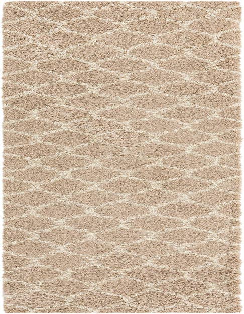 Detail image of  2' 7 x 12' Lattice Shag Runner Rug