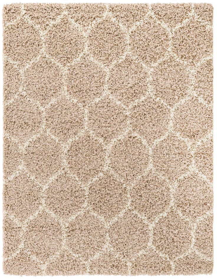 Detail image of  5' 3 x 5' 3 Lattice Shag Square Rug