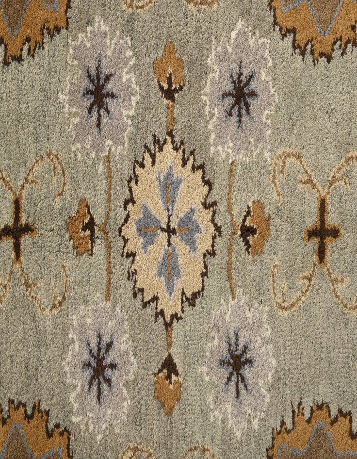 Detail image of  5' x 7' 11 Agra Rug