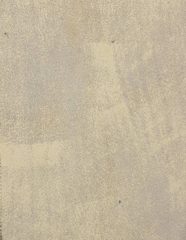 Detail image of  2' x 3' Cowhide Leather Rug