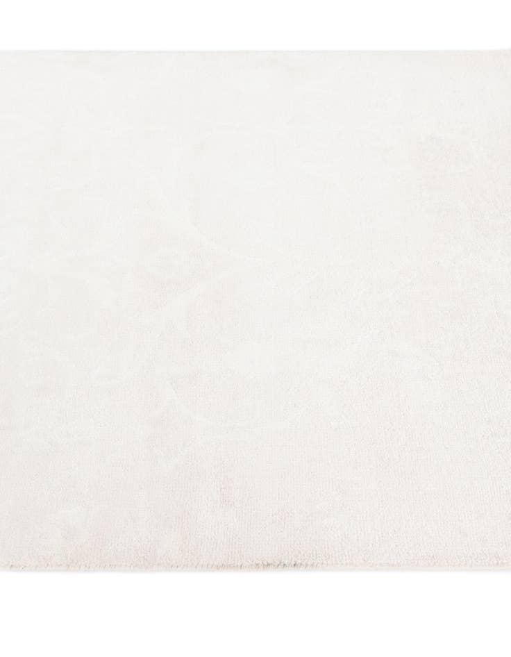 Detail image of  2' 7 x 5'  Hand Knotted Darya Wool Rug