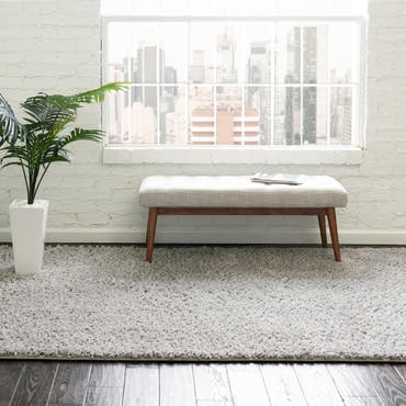  8' x 10' Everyday Shag Rug