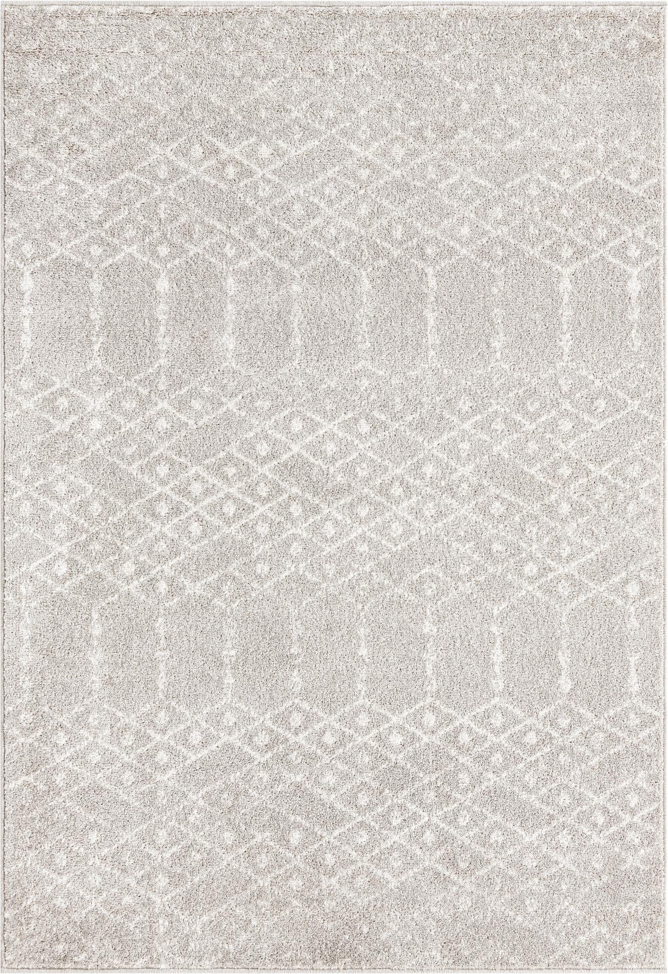  4' x 6' Paxon Trellis Rug