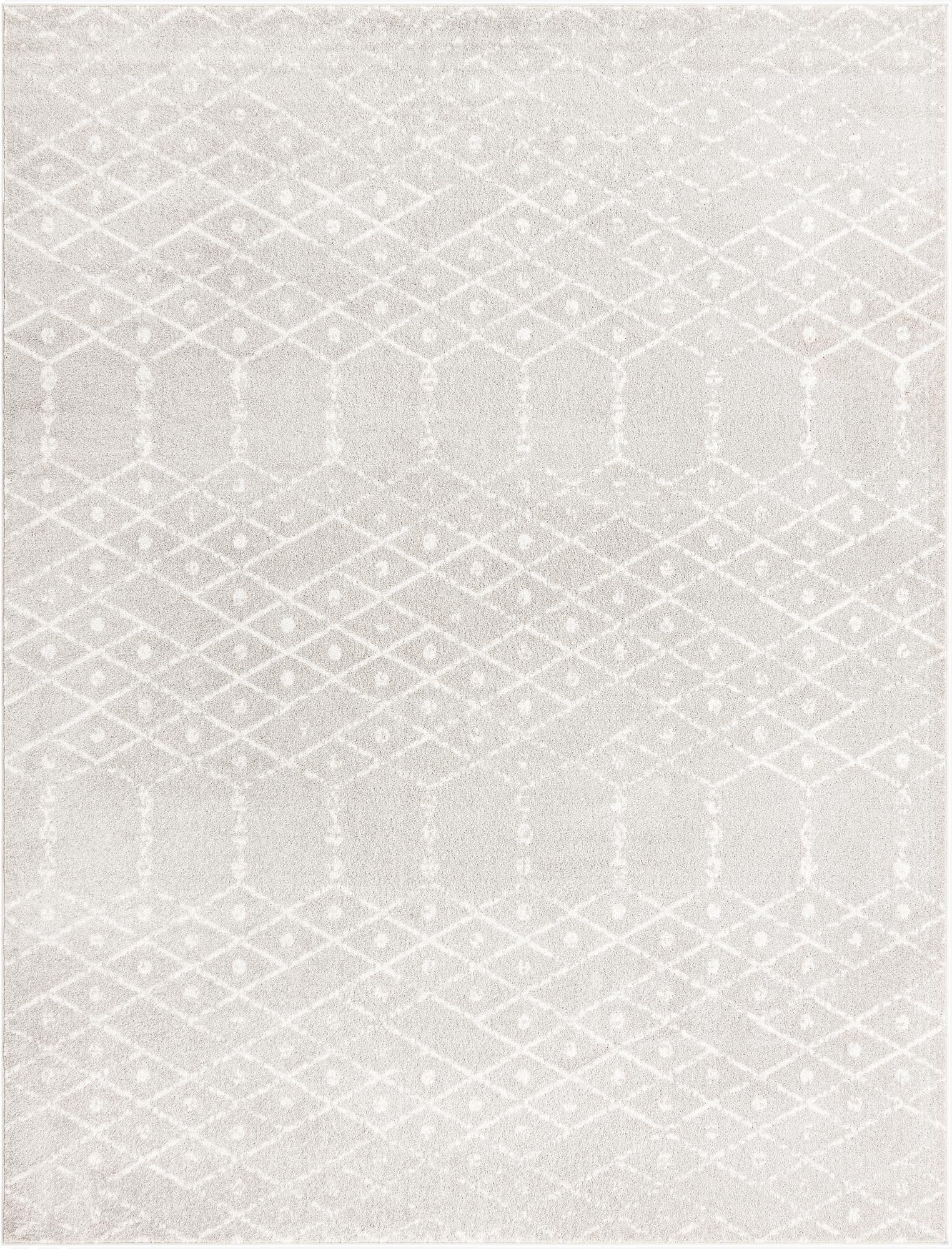  9' x 12' Paxon Trellis Rug