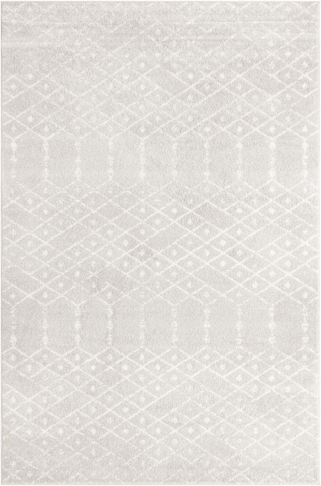  6' x 9' Paxon Trellis Rug
