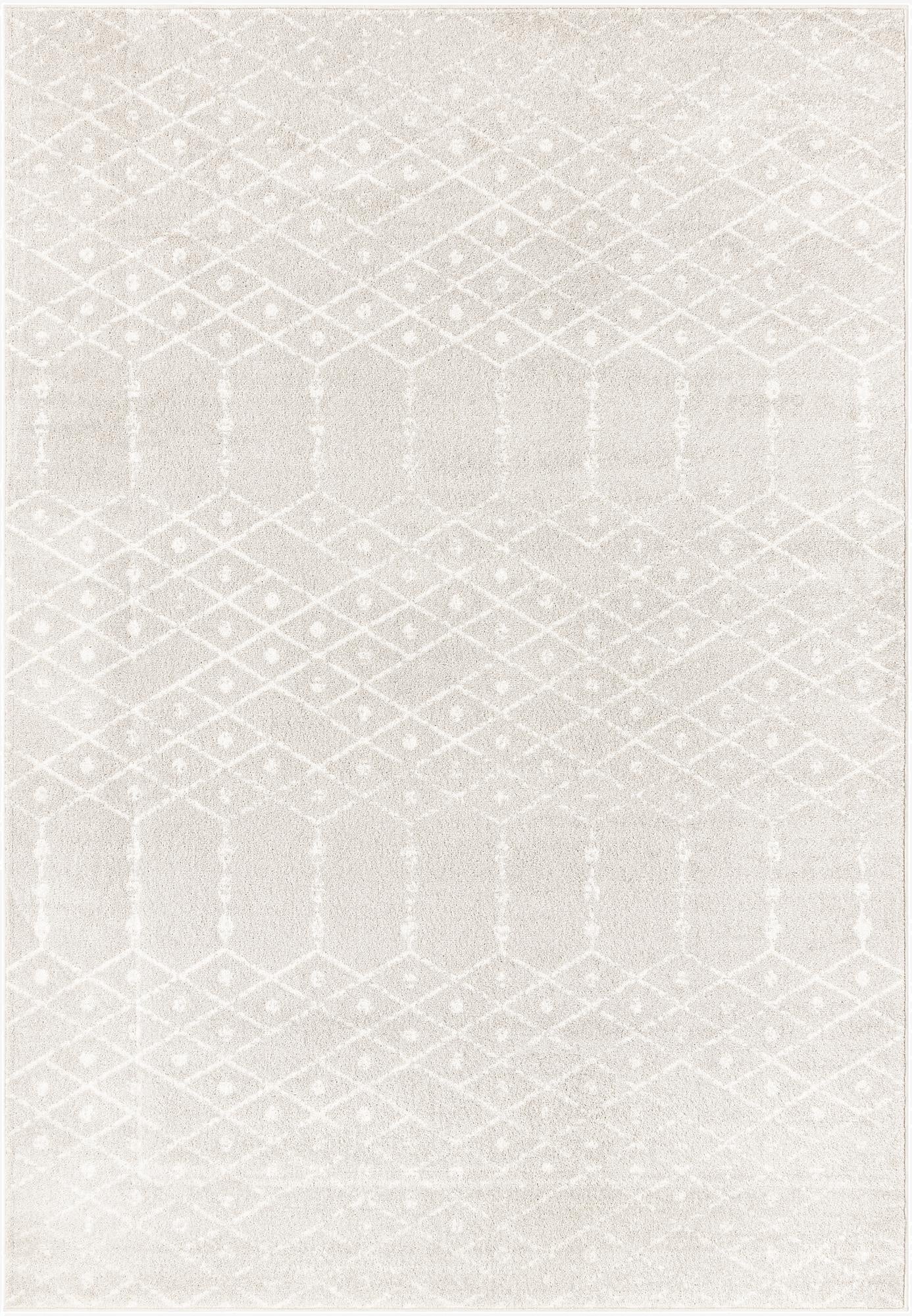  7' x 10' Paxon Trellis Rug