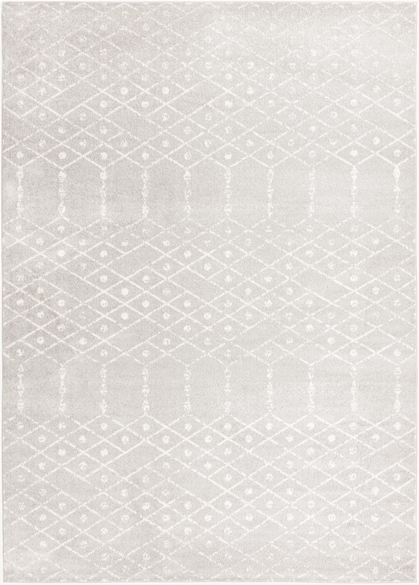  10' x 14' Paxon Trellis Rug