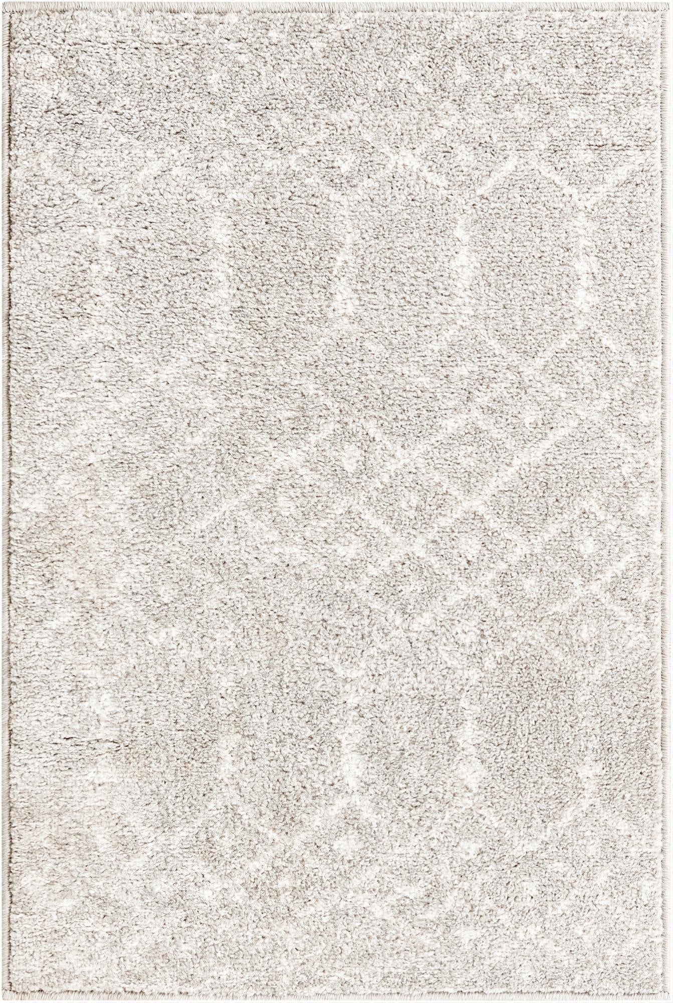  2' x 3' Paxon Trellis Rug