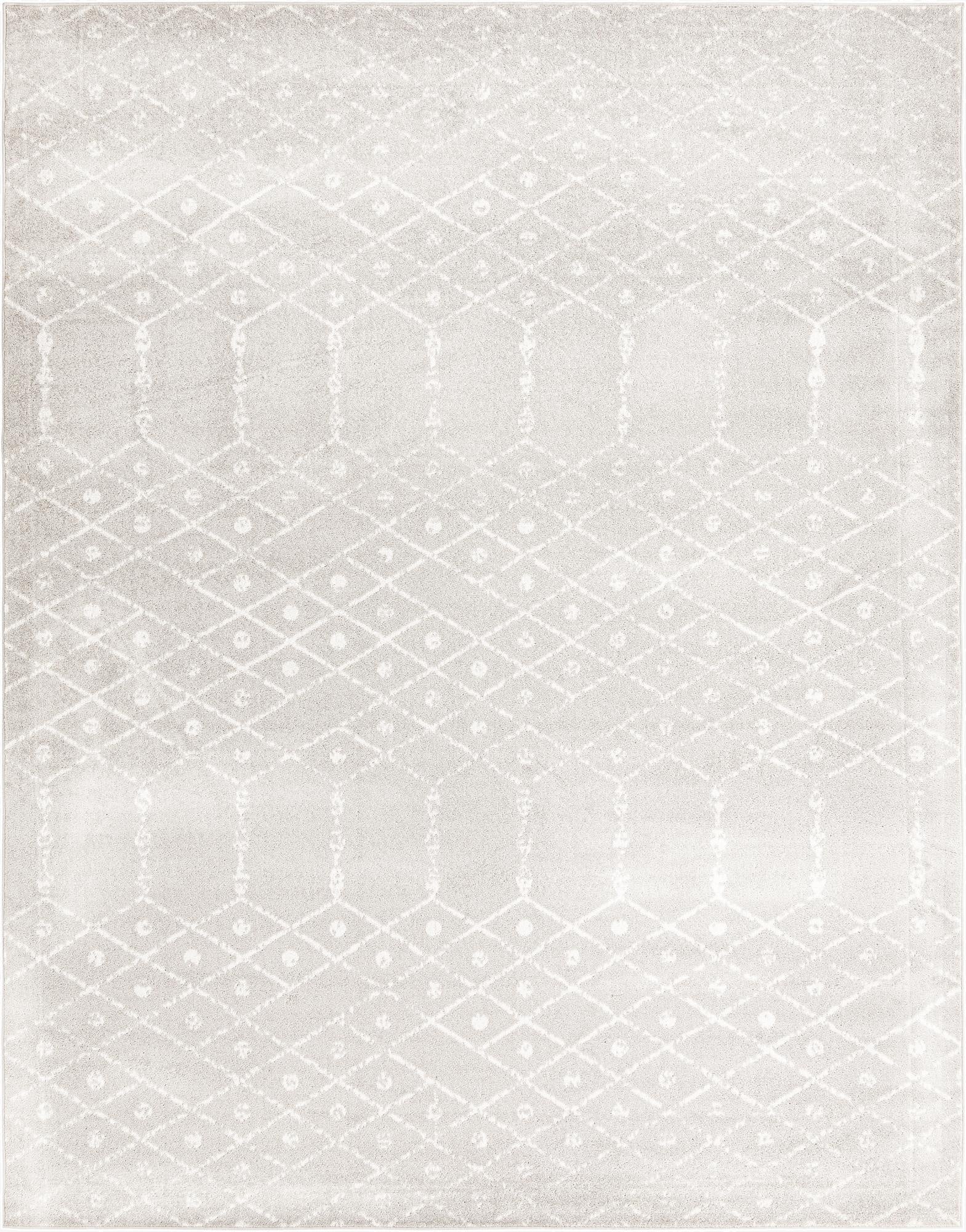  10' x 13' Paxon Trellis Rug