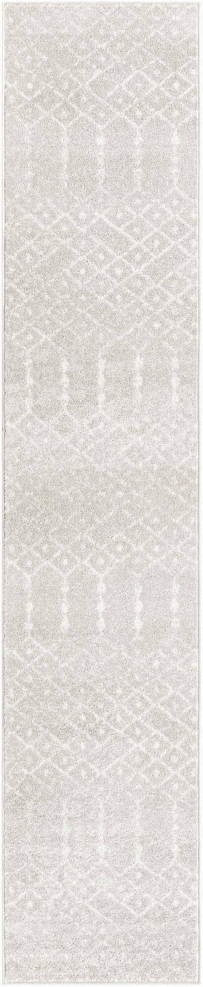  2' x 9' 10 Paxon Trellis Runner Rug