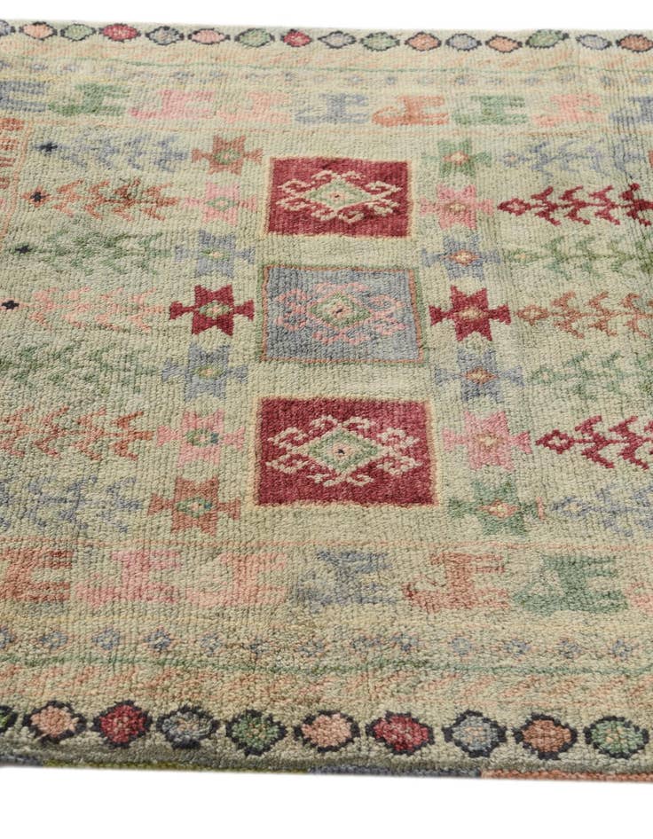 Detail image of  4' x 6'  Hand Knotted Ariana Ziegler Wool Rug