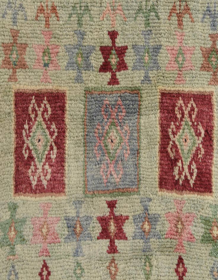 Detail image of  4' x 6'  Hand Knotted Ariana Ziegler Wool Rug