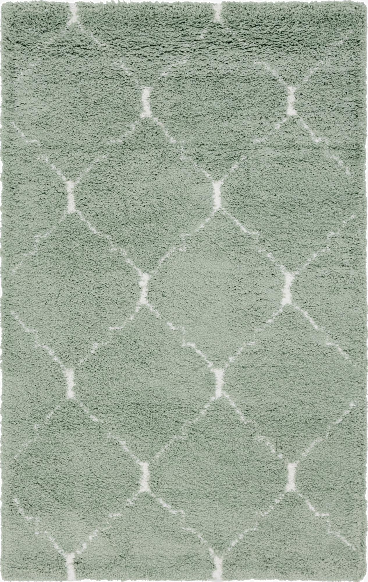  2' 5 x 4' Moroccan Shag Rug