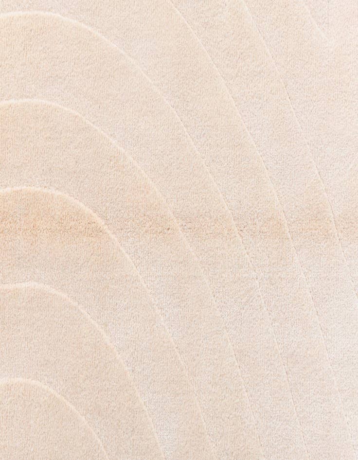 Detail image of  4' 11 x 6' 9  Hand Knotted Darya Wool Rug