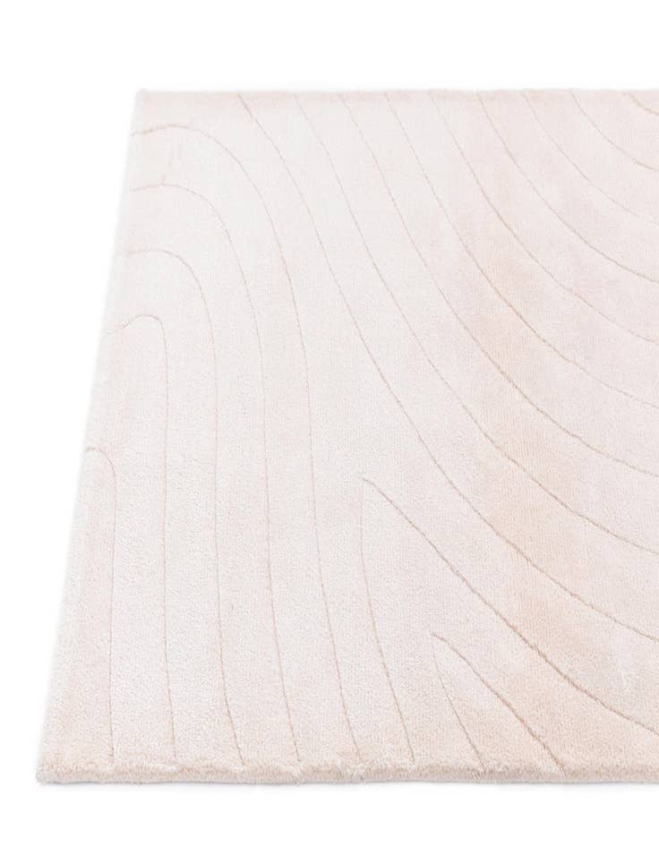 Detail image of  2' 9 x 4' 11  Hand Knotted Darya Wool Rug