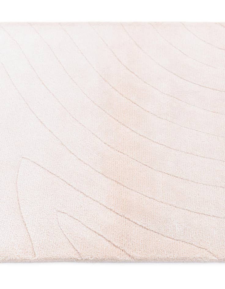 Detail image of  2' 9 x 4' 11  Hand Knotted Darya Wool Rug