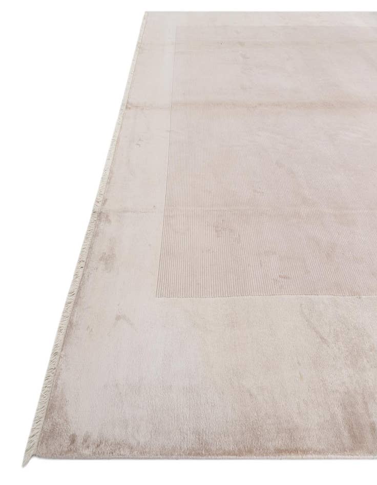 Detail image of  9' 10 x 13' 1  Hand Knotted Darya Wool Rug