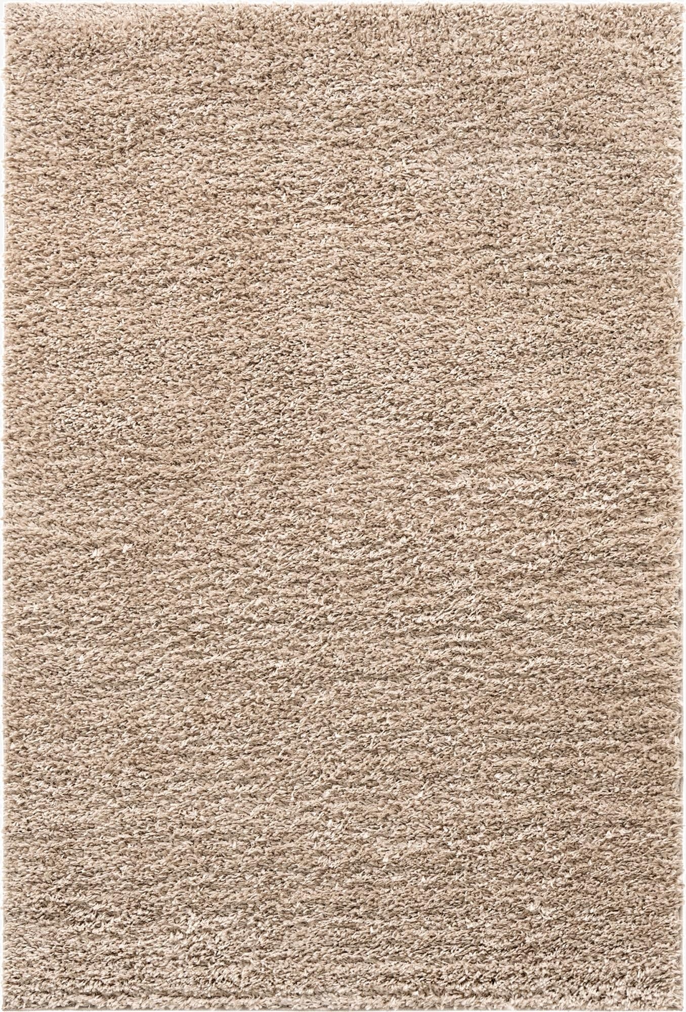  4' x 6' Zermatt Shag Rug